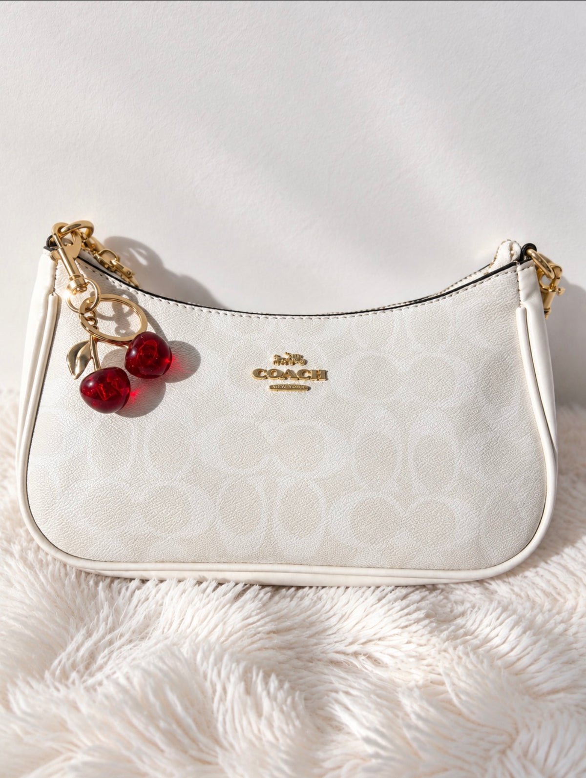 Coach Bags