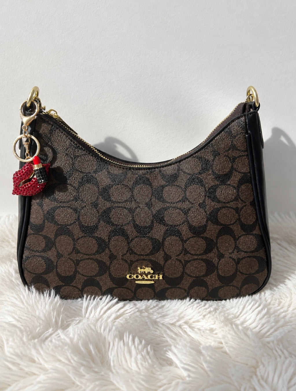Coach Bags